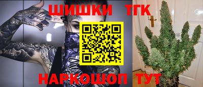 дмт Новозыбков