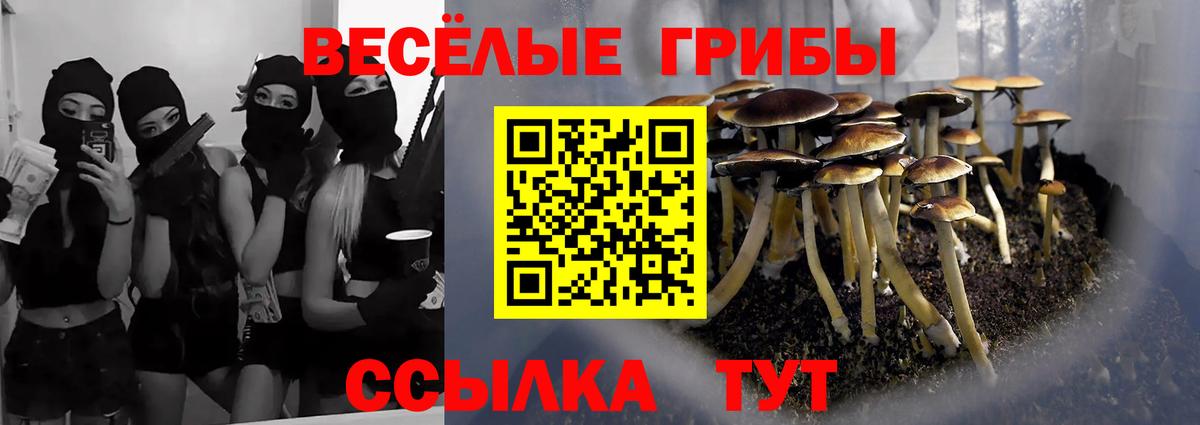 Галлюциногенные грибы Psilocybine cubensis  Вход с VPN  Балахна 
